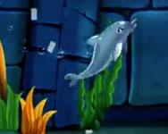 My dolphin show 7 HTML5 horgász HTML5 játék