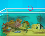 Aquarium farm