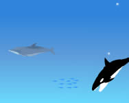 Delphin gyerek játék online horgászós játék
